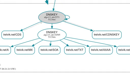 DNSViz snippet